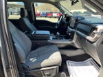 2023 F-150 Thumbnail 18