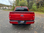 2023 F-150 Thumbnail 8