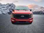 2023 F-150 Thumbnail 4