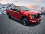 2023 F-150 Thumbnail 5