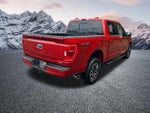 2023 F-150 Thumbnail 7