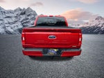 2023 F-150 Thumbnail 8