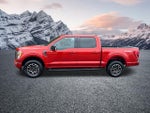 2023 F-150 Thumbnail 11