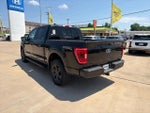 2023 F-150 Thumbnail 8