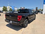 2023 F-150 Thumbnail 11