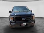 2023 F-150 Thumbnail 4