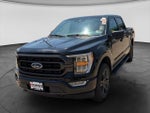 2023 F-150 Thumbnail 5