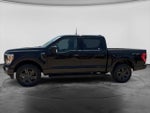 2023 F-150 Thumbnail 7
