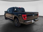 2023 F-150 Thumbnail 8
