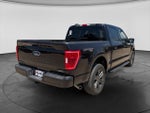 2023 F-150 Thumbnail 11