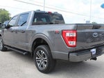 2023 F-150 Thumbnail 10