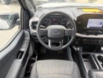 2023 F-150 Thumbnail 12