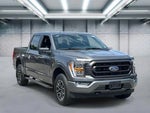 2023 F-150 Thumbnail 2