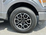 2023 F-150 Thumbnail 7