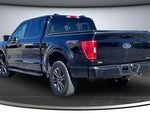 2023 F-150 Thumbnail 4