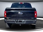 2023 F-150 Thumbnail 5