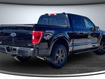2023 F-150 Thumbnail 6