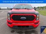 2023 F-150 Thumbnail 4