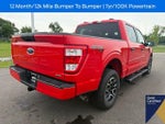 2023 F-150 Thumbnail 12