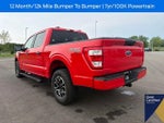 2023 F-150 Thumbnail 16