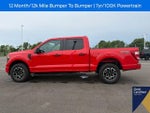 2023 F-150 Thumbnail 17