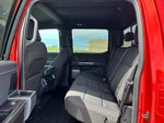 2023 F-150 Thumbnail 13