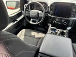 2023 F-150 Thumbnail 14