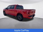 2023 F-150 Thumbnail 4