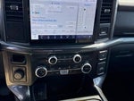 2023 F-150 Thumbnail 8