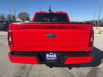 2023 F-150 Thumbnail 6