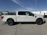2023 F-150 Thumbnail 13