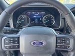 2023 F-150 Thumbnail 20