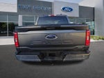 2023 F-150 Thumbnail 4