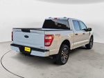 2023 F-150 Thumbnail 5