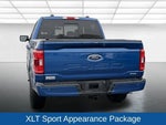 2023 F-150 Thumbnail 10