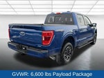 2023 F-150 Thumbnail 12