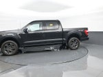 2023 F-150 Thumbnail 5