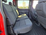 2023 F-150 Thumbnail 9