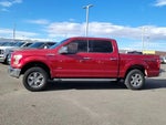2016 F-150 Thumbnail 2