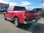 2016 F-150 Thumbnail 3