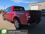 2018 F-150 Thumbnail 5