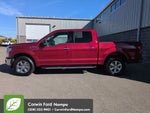 2018 F-150 Thumbnail 6