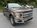 2018 F-150 Thumbnail 4