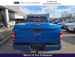 2019 F-150 Thumbnail 11