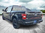 2019 F-150 Thumbnail 4