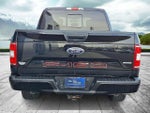 2019 F-150 Thumbnail 5