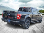 2019 F-150 Thumbnail 6