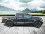 2019 F-150 Thumbnail 7