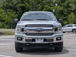2019 F-150 Thumbnail 2