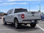 2019 F-150 Thumbnail 5